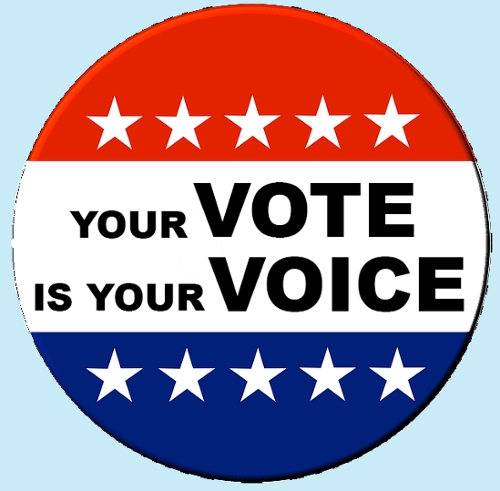 Your Vote is You Voice